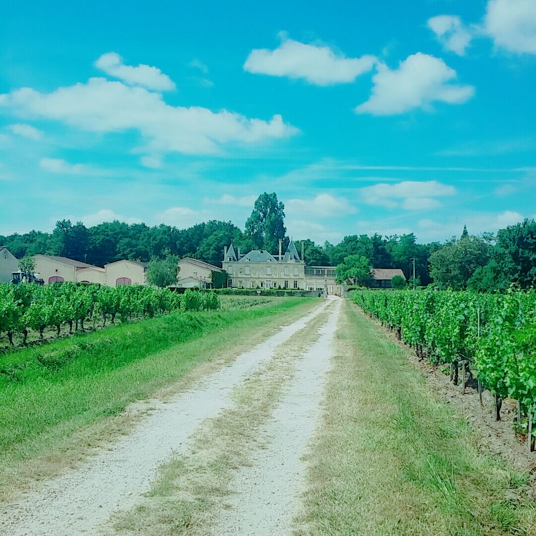Chateau Meyre Avensan Exterior photo